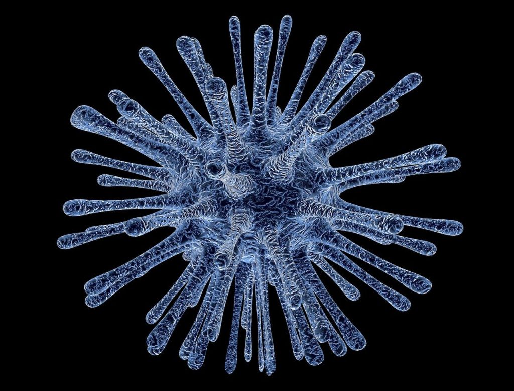 regim alimentar norovirus