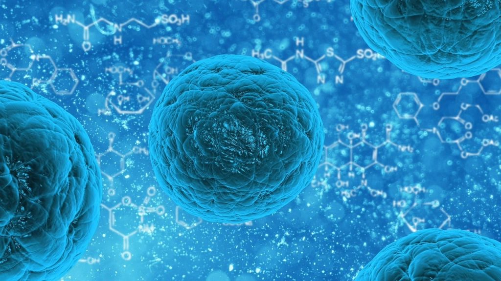 norovirus tratament naturist